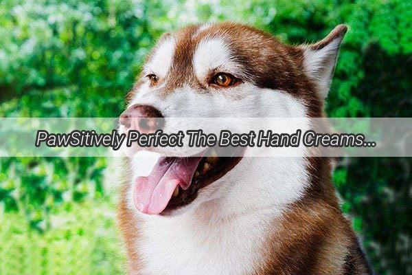 PawSitively Perfect The Best Hand Creams for Dog Lovers